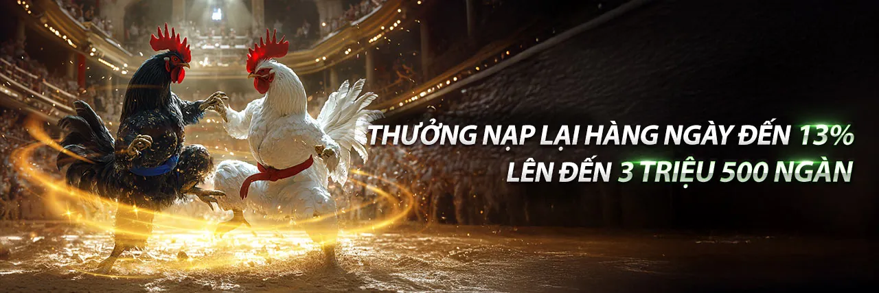 Đá gà trực tuyến kịch tính tại i9bet128 Nhà Cái